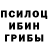 Псилоцибиновые грибы Psilocybine cubensis Ul1k Stewart